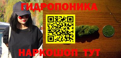 молекула духа Кулебаки