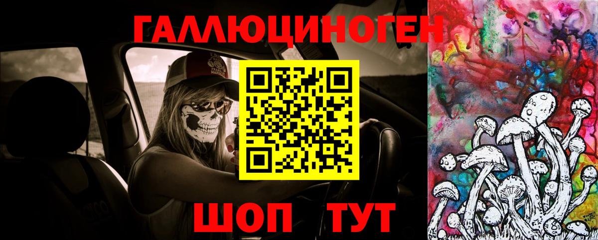Псилоцибиновые грибы мицелий Ярославль