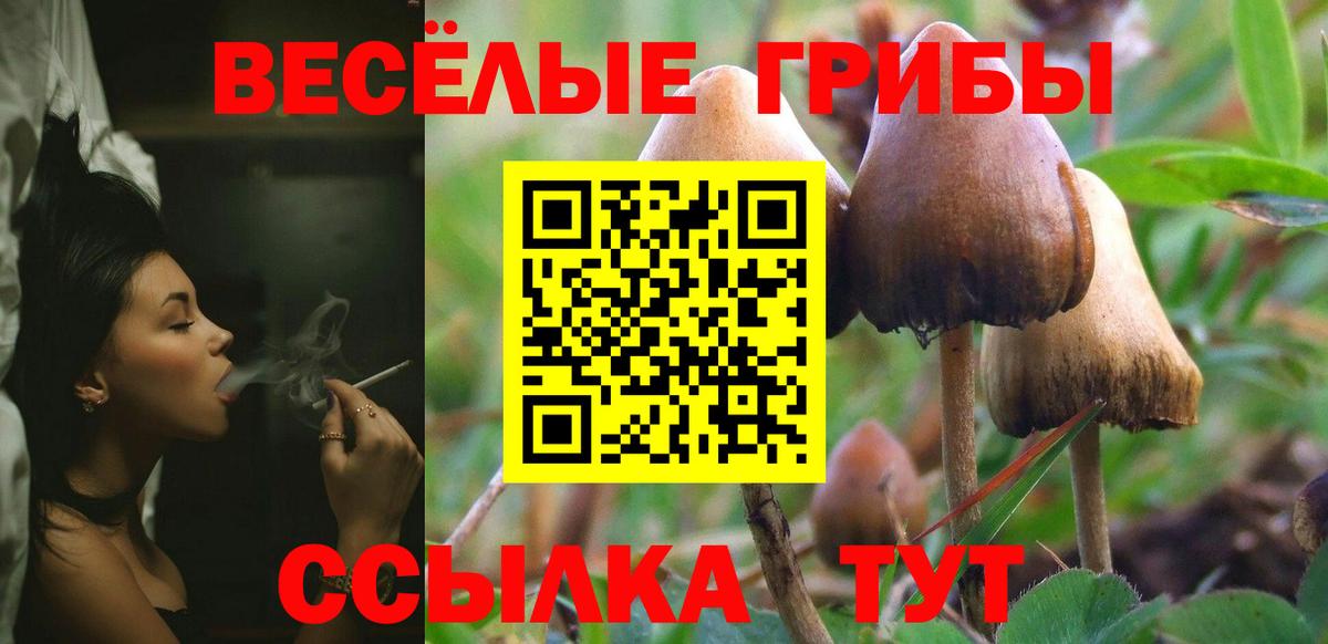 Псилоцибиновые грибы GOLDEN TEACHER  Псилоцибиновые грибы Cubensis  Ярославль  Вход с VPN 